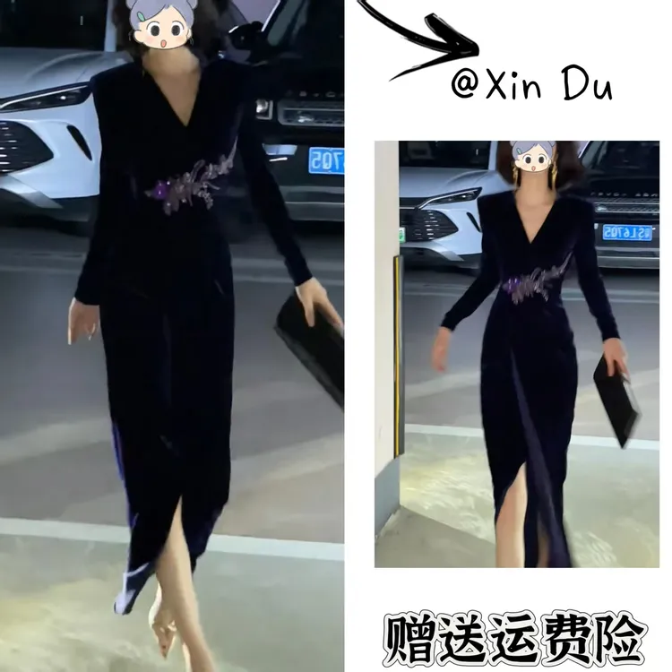 2025秋季新款时尚显瘦气质女士网红洋气连衣裙百搭款D23354