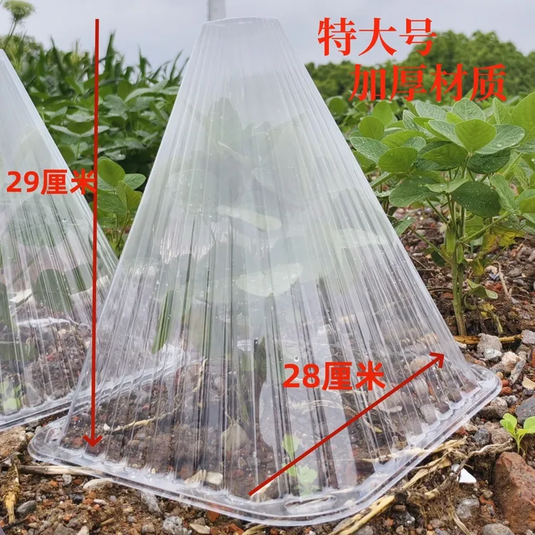 特大号加高加厚育苗保护罩防晒防冻保温防鸟虫蔬菜树苗植物防护罩