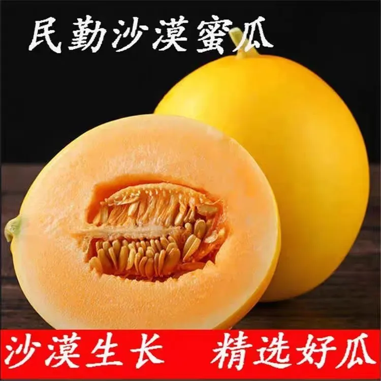 甘肃民勤蜜瓜脆甜多汁自然熟新鲜水果整箱包邮