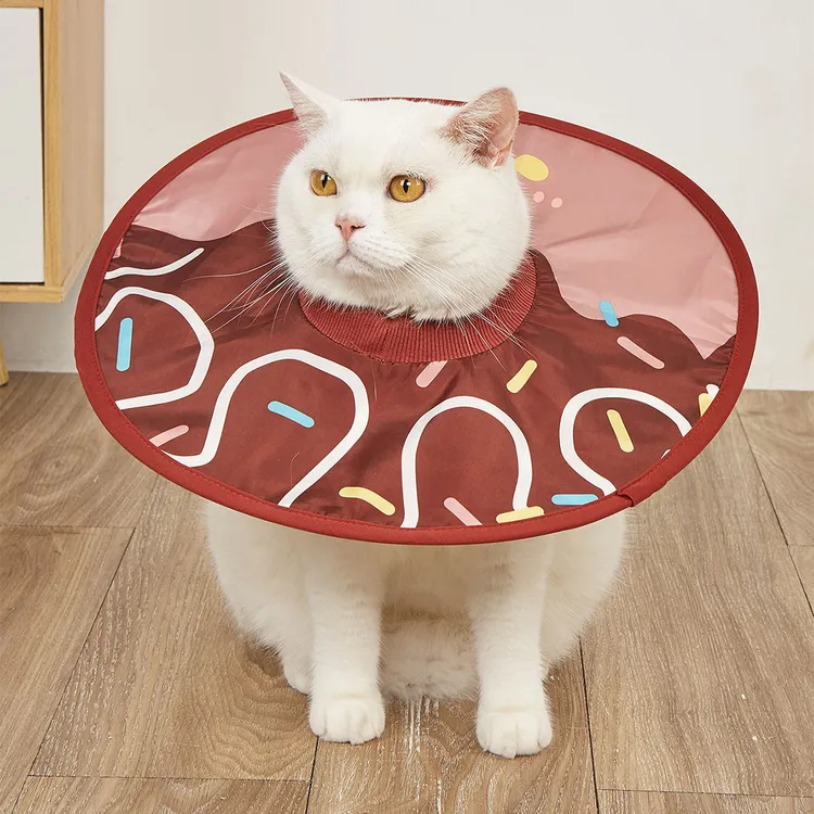宠物伊丽莎白圈猫咪狗狗兔子项圈轻薄防舔咬围脖脖圈耻辱圈头套