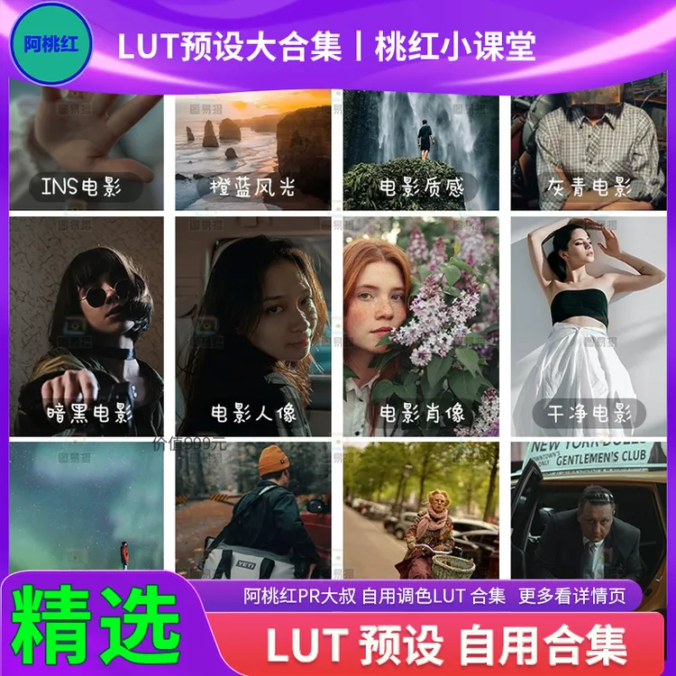 阿桃红/PR大叔影视级特效调色全集LUT 分类后期大师LUT预设全集1