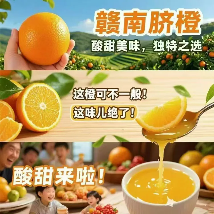 赣南脐橙赣南脐橙农家直发应季水果坏果包赔售后无忧橙子正宗