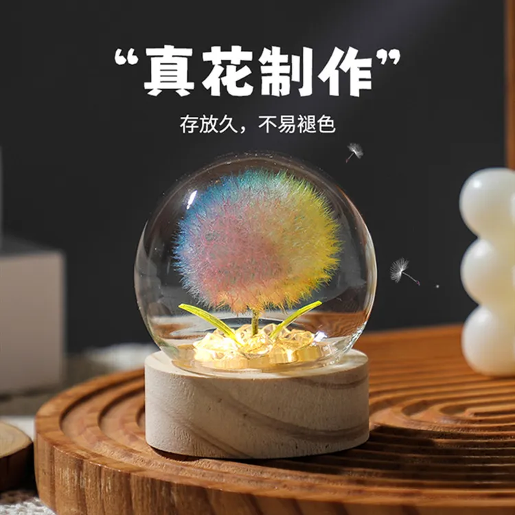蒲公英永生花玻璃罩小夜灯生日礼物女生闺蜜送女友女孩高级感实用