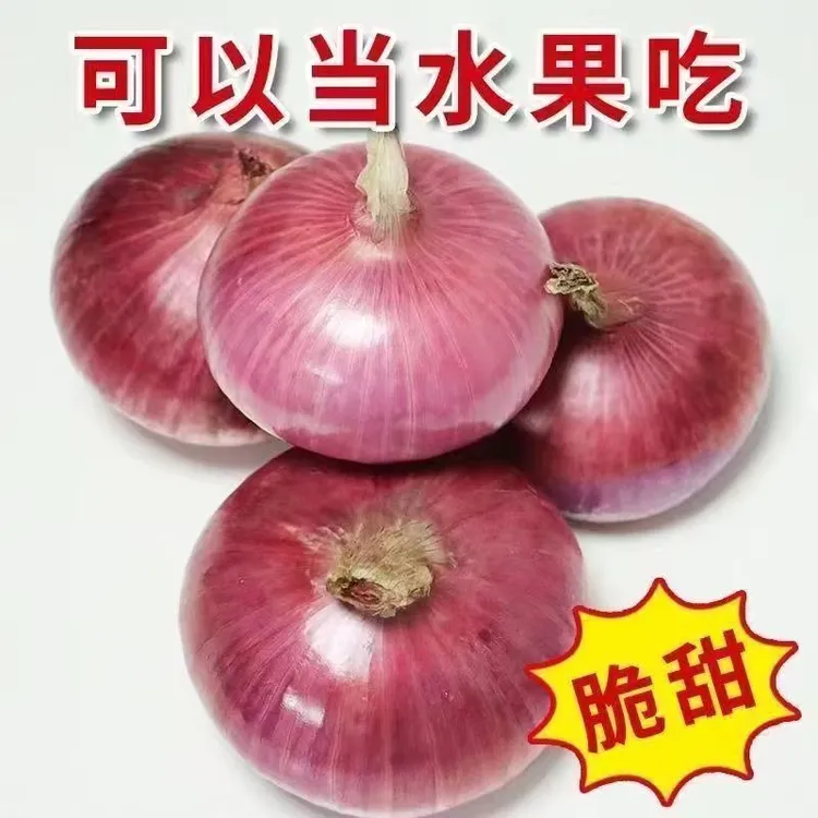 河南开封新鲜现挖可生吃水果洋葱清脆可口