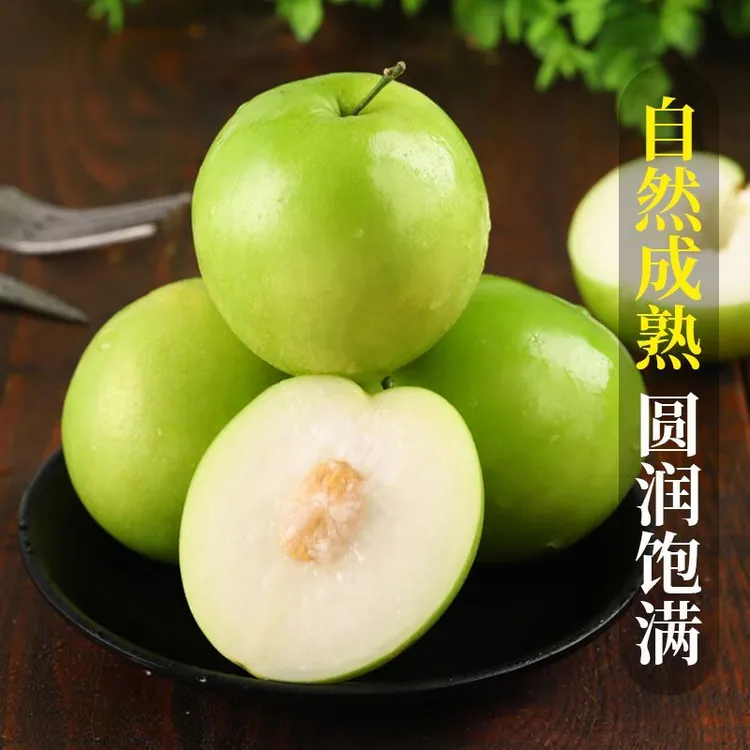 牛奶大青枣当季现摘超新鲜青枣脆甜蜜枣贵妃当季孕妇水果批发整箱