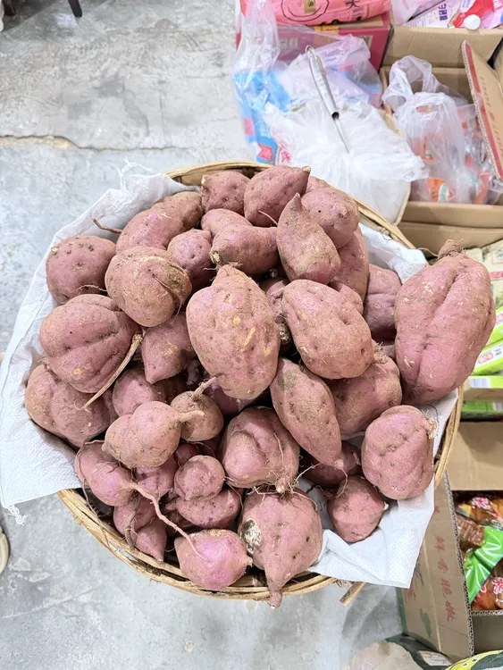 贵州凯里苗寨软糯香甜新鲜红薯板栗芍