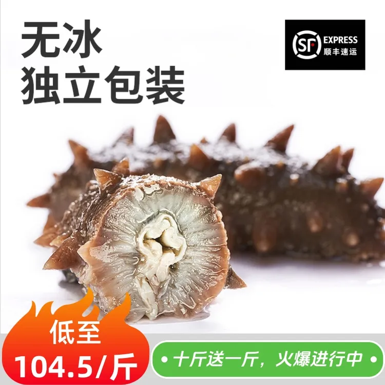 【鲜食高货】8-9A大连鲜食海参Q弹劲道口感野生辽参独立真空包装