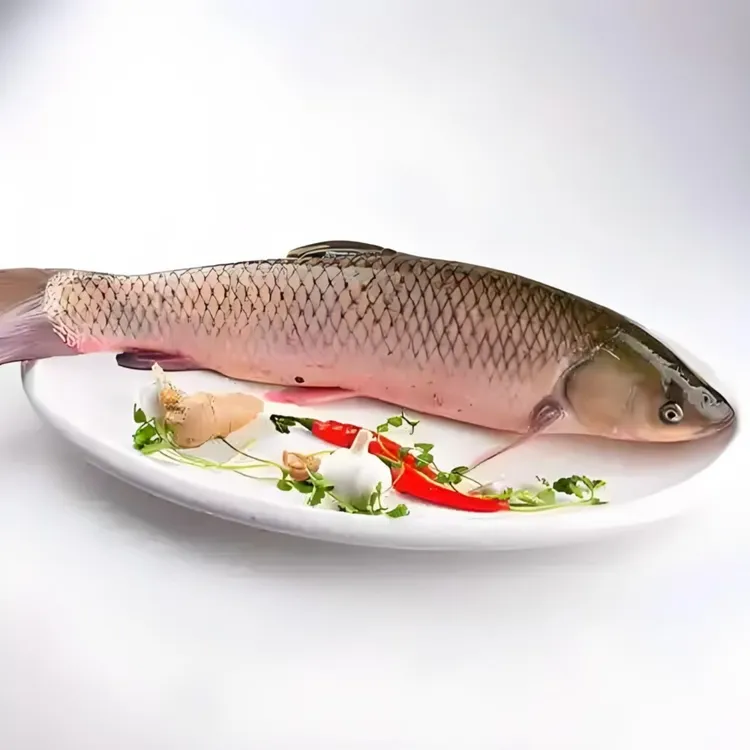 东北野生冷水草鱼