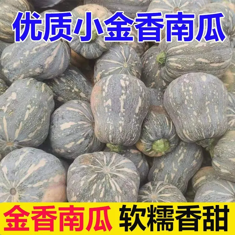 农家金香南瓜自种粉糯香甜香芋南瓜自产自销甜面农产品