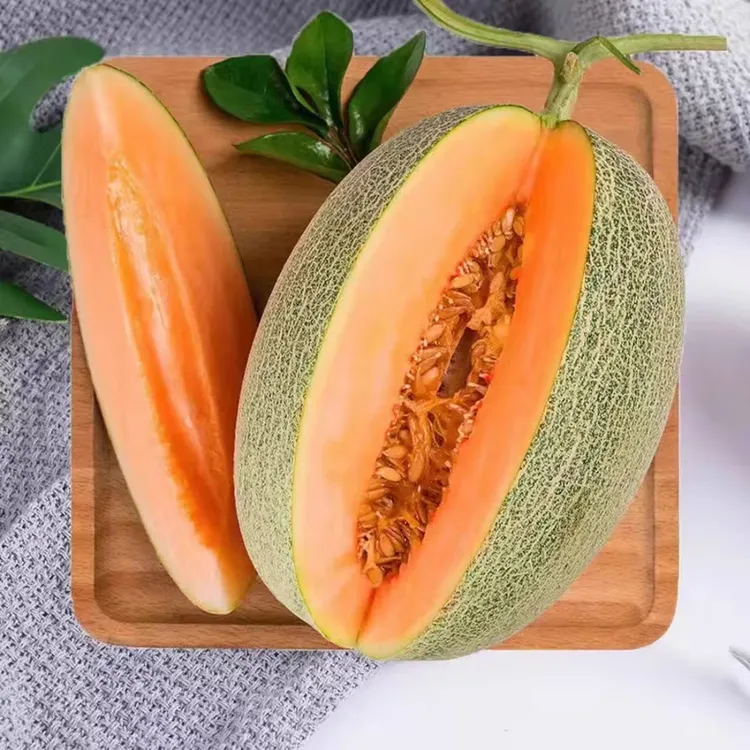 哈密瓜 西周蜜 甘肃民勤 沙漠哈密瓜自然熟 脆甜多汁  JJJ