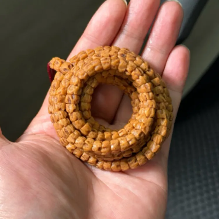 西藏热振柏香籽药片鬼脸678mm108颗百香子