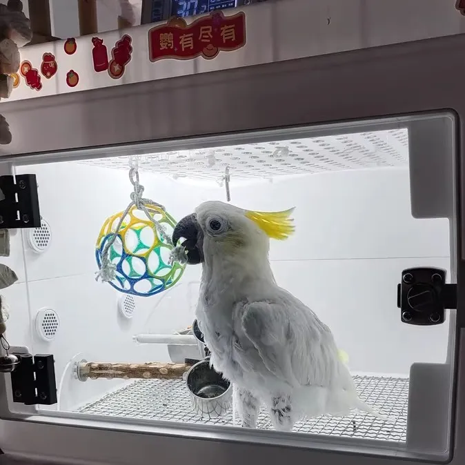鹦飞扬PID恒温中大型鹦鹉保温箱大型风暖宠物保温箱0天雏鸟保温箱