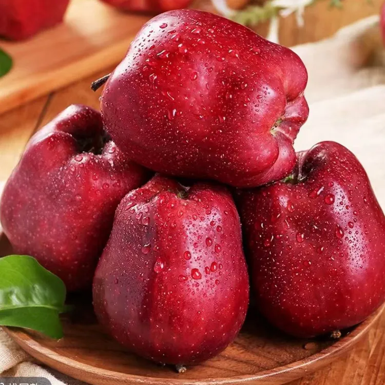 甘肃天水花牛红富士苹果脆粉两吃当季新鲜水果红蛇果维生素c水果