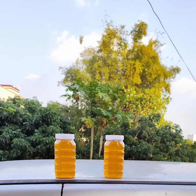 广东鸭脚木蜜（冬蜜）1瓶2斤装 2025年12月份采的冬蜜
