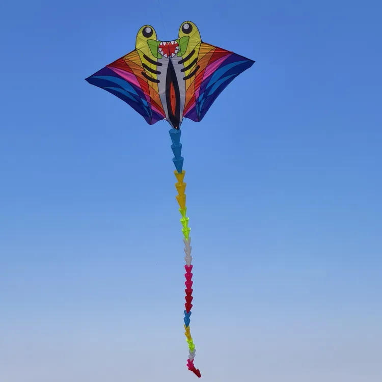 大型平板鳐鱼风筝成人适用到手可飞软体锥度糖果尾风筝