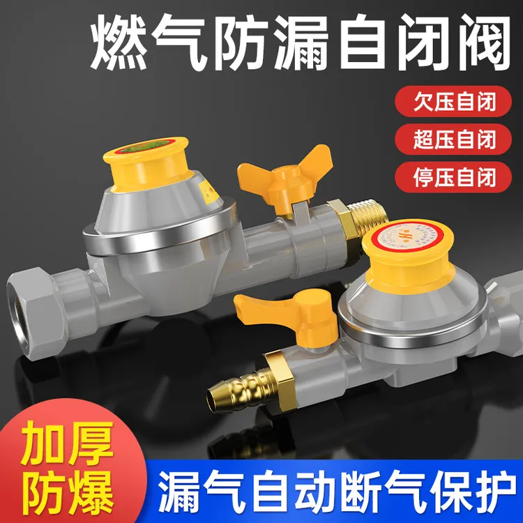 天然气漏气超压自闭阀燃气管道泄露家用自动断气阀门女士德训鞋