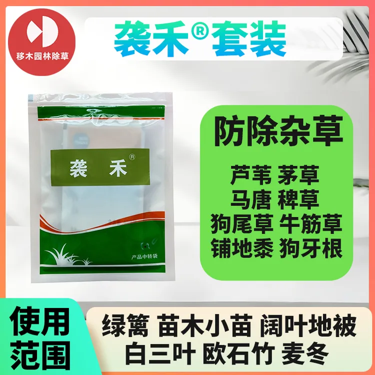 袭禾绿篱苗木麦冬草花黄杨欧石竹杜鹃栀子三叶草红叶石楠除尖叶草