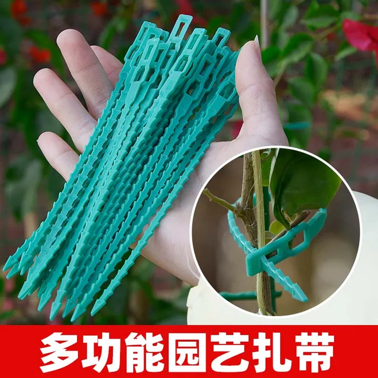 【10根起卖】植物爬藤加固鱼骨扎带菜园绑扎带园林线扎带耐磨绳子