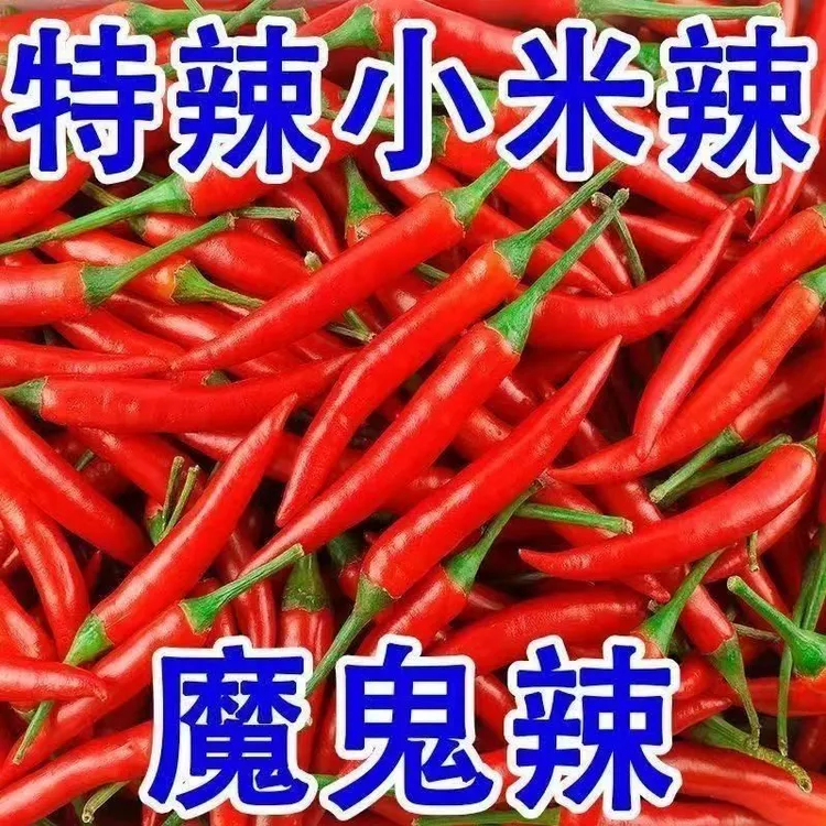 辣椒小米椒小米辣指天椒红米椒云南新鲜现摘鲜辣椒朝天椒红辣椒