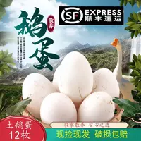 【助农推荐】农村散养溜达鹅新鲜土鹅蛋现捡现发(破损包赔)