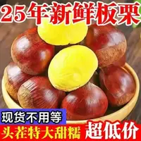 TZ板栗生新鲜当季2025新鲜嫩野生板栗毛栗子农家板栗非锥栗小油栗