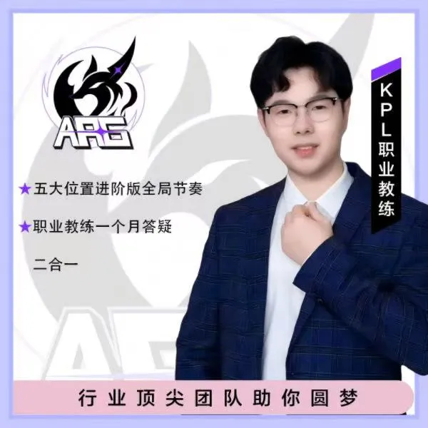 王者荣耀职业级全位置上分教科书线上视频课程基础版