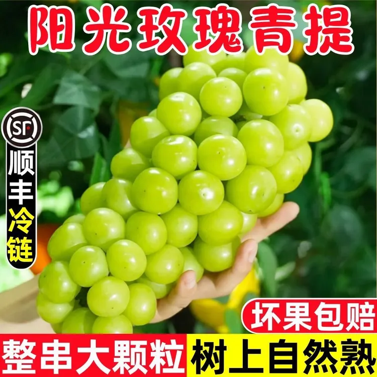 基地直采阳光玫瑰葡萄新鲜无籽香甜多汁当季水果