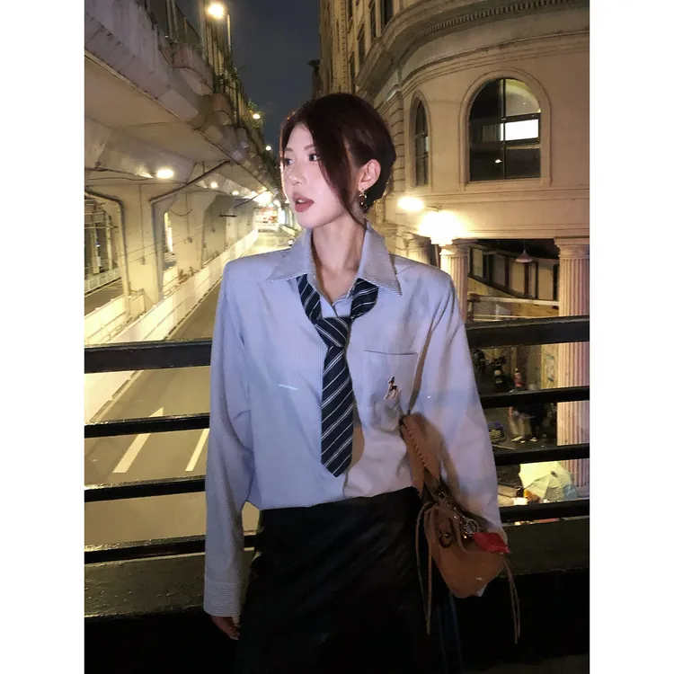 甜辣多多【线条艺术家】秋季新款极简刺绣条纹长袖衬衫女复古衬衣