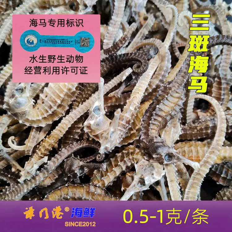 冯家湾小三斑海马0.5-1克一条 及定制产品H8H8M8M