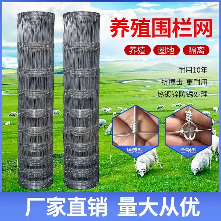 热镀锌铁丝网防锈牛栏网圈地钢丝网拦牛羊果园防护网养殖网围栏网