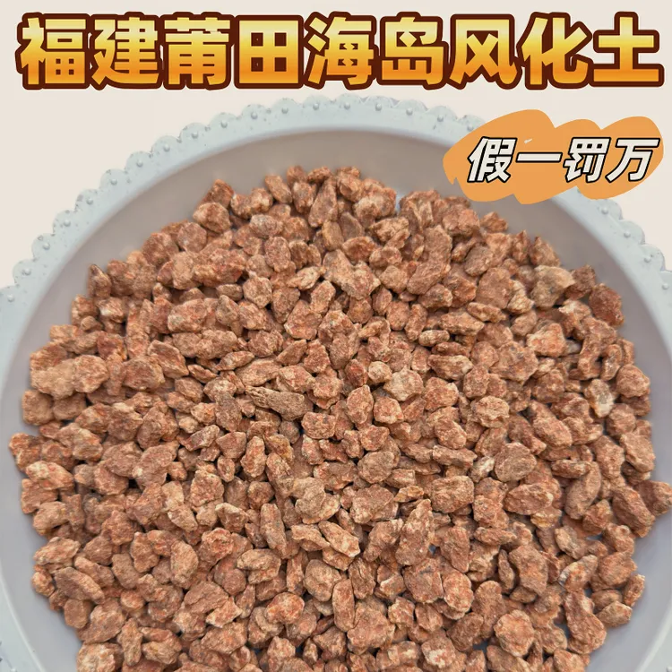 假一罚万正宗福建莆田海岛风化土适用下山生桩熟桩盆景盆栽颗粒土