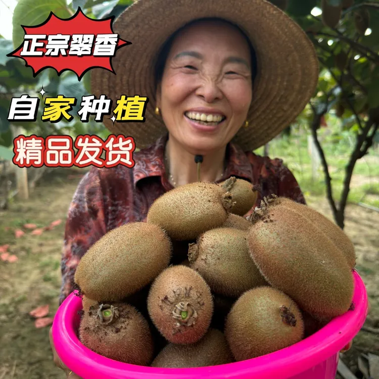 （京东快递翠香）陕西眉县正宗翠香猕猴桃 自家种植孕妇宝妈放心吃