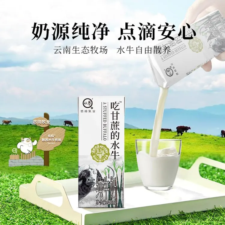 认养吃甘蔗的水牛奶云贵高原牧场纯牛奶学生儿童奶