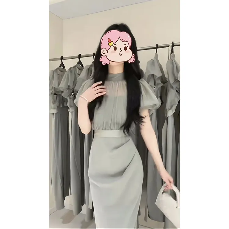 2025夏季新款优雅薄纱荷叶袖透视上衣拼接收腰显瘦连衣裙假两件女