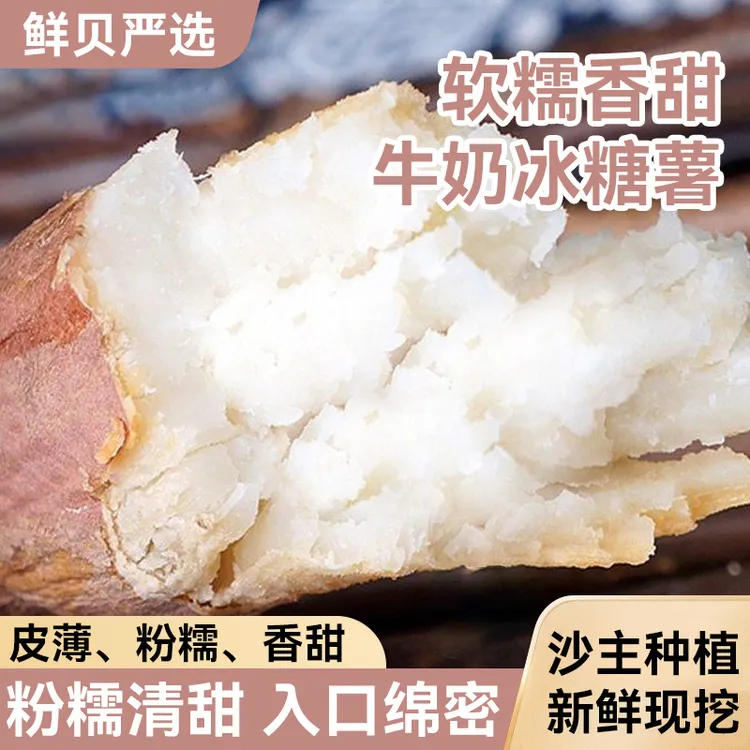 山东香甜软糯牛奶冰糖薯蜜薯新鲜优农产品水果产地直发烤地瓜
