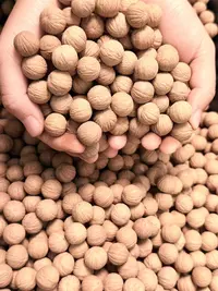 (已打孔）猴头核桃聚宝盆原皮原色拍30发50颗(1.4+-15+)