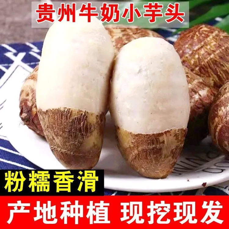 贵州牛奶芋头芋艿新鲜应季现挖现发产地直发香甜软糯芋头