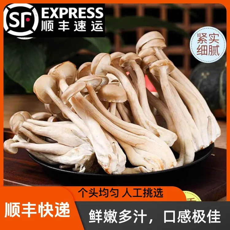【顺丰快递】新鲜鹿茸菇精选新鲜采摘超值装火锅炖汤食用菌净重1kg