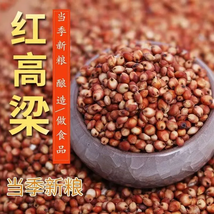 【到手5斤】东北红高粱米新米去壳去皮正宗老式笨红高粱米农家高粱