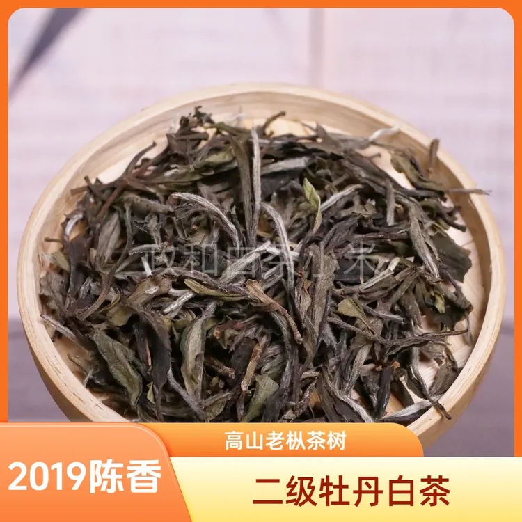 2019荒野老树白牡丹头春头采政和白茶韵味厚实