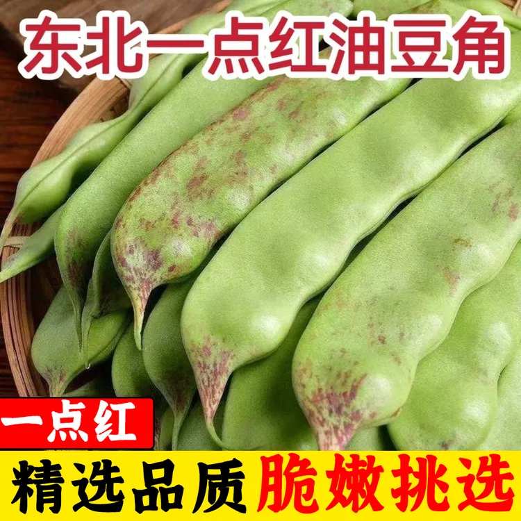 云南发货【新鲜】正宗东北一点红油豆角新鲜蔬菜面豆开锅烂