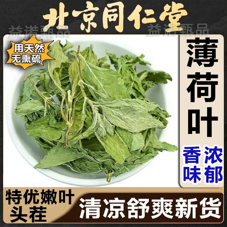 北京同仁优选 薄荷叶新鲜干货农家自采泡水喝清凉清爽