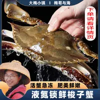 【冻蟹】梅哥与海液氮速冻梭子蟹飞蟹3斤每只4-6两共5-8只左右