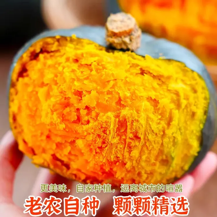 朔农正宗贝贝南瓜小南瓜粉糯香甜板栗味适合宝宝辅食粗粮沙漠南瓜