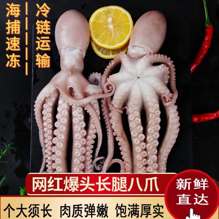 长腿大八爪鱼新鲜活大章鱼冷冻海鲜水产生鲜整只网红大爆头商用