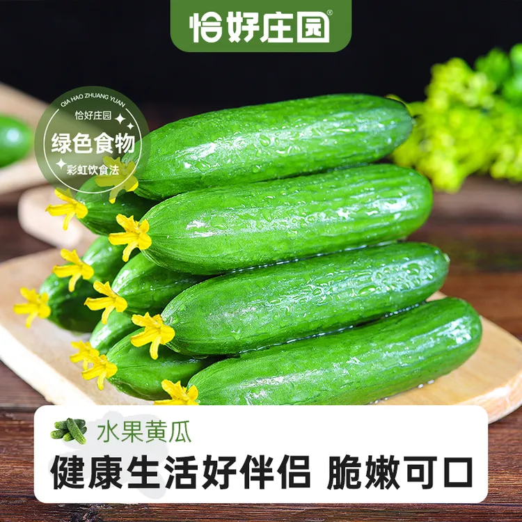 【恰好庄园】河南水果小黄瓜3斤生吃脆甜嫩新鲜蔬菜山东脆嫩包邮