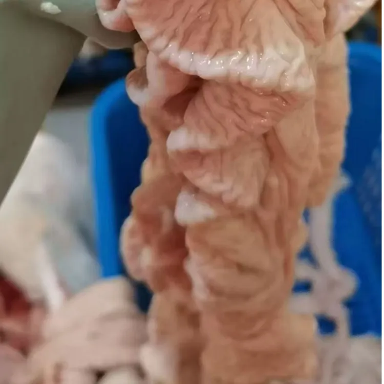 生鲜(去油98%）猪大肠肥肠生鲜猪肥肠
