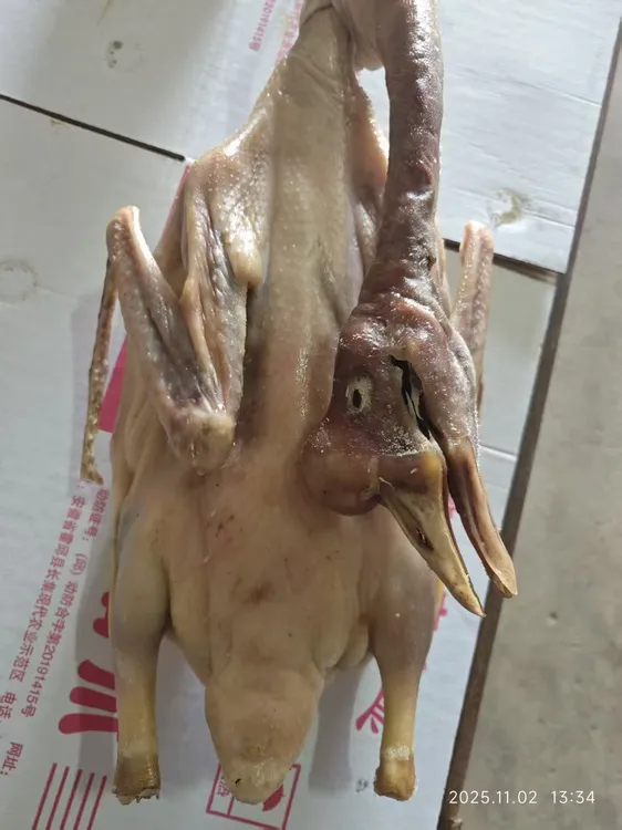 安徽皖西大白鹅农家散养鹅传统手工腌制自然风干晾晒咸鹅腊味年货