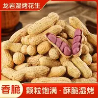 正宗福建龙岩特产湿烤红衣花生咸香酥脆带壳休闲解馋下酒美味零食