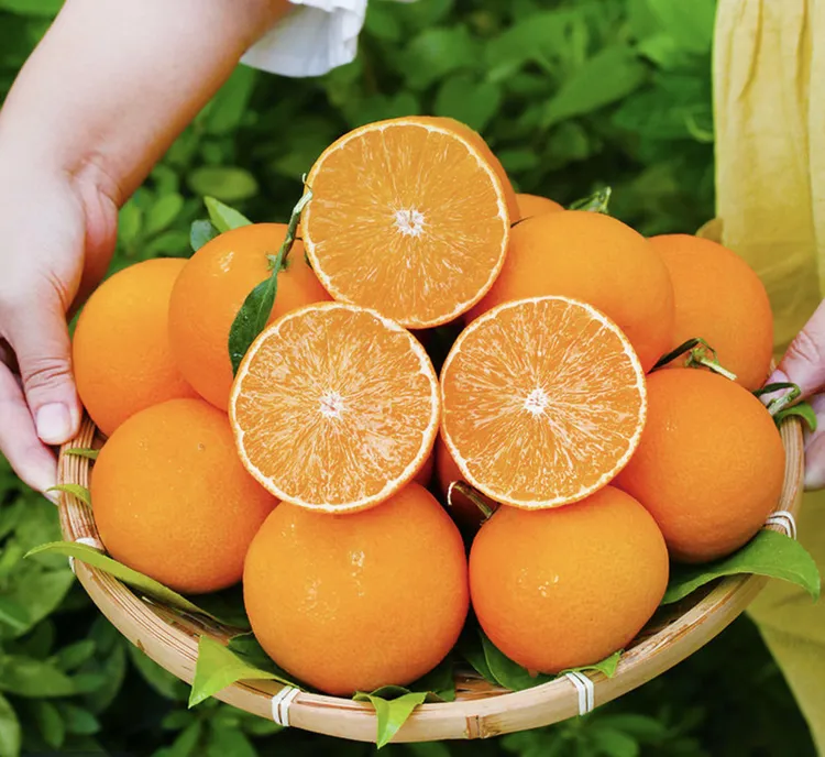 四川爱媛38号果冻橙当季新鲜水果薄皮手剥甘甜爆汁 【带箱5斤】